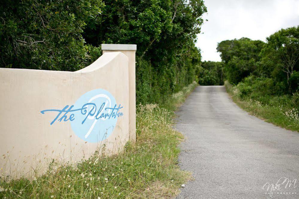 The Plantation Bed & Breakfast Port Elizabeth Eksteriør bilde